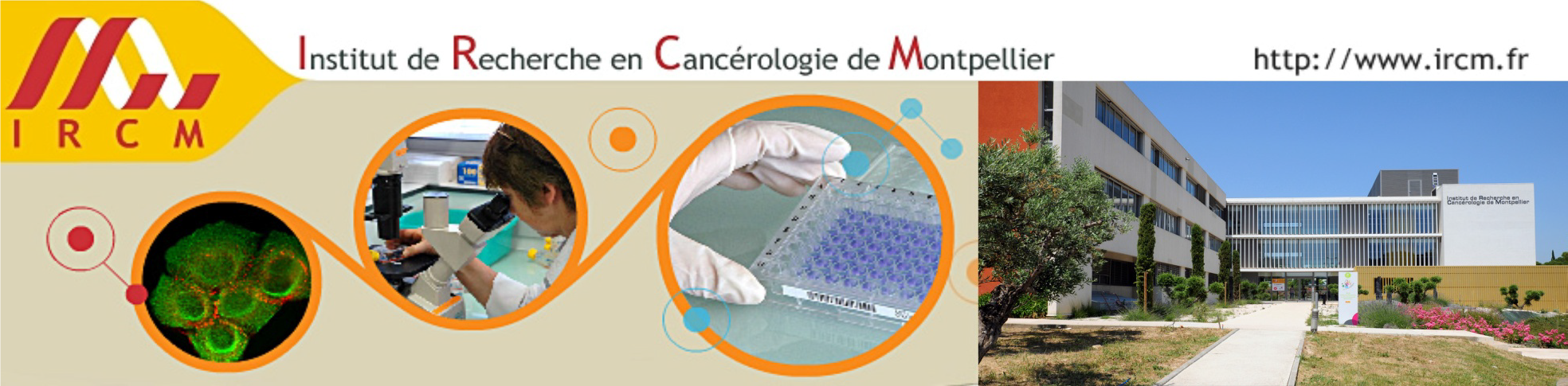 entete ircm