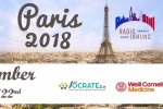 image immunotherapy combination paris septembre 2018