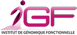 logo-IGF-RVB-72di_petit