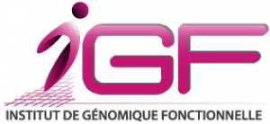 logo-IGF-RVB-72dpi-png
