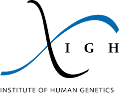 logo IGH
